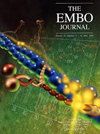 EMBO JOURNAL雜志封面